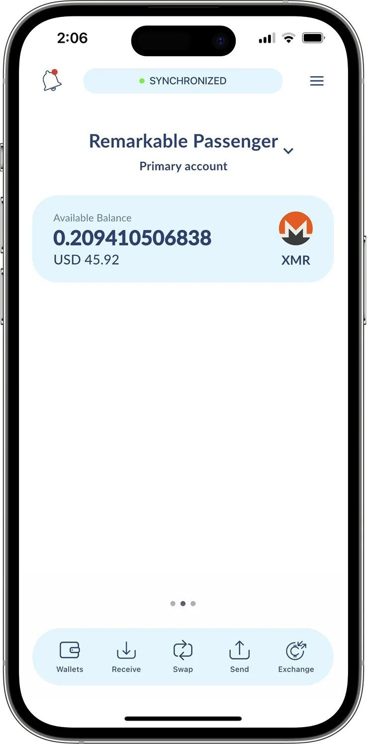 Cake Wallet Mobile App Interface - Portfolio View